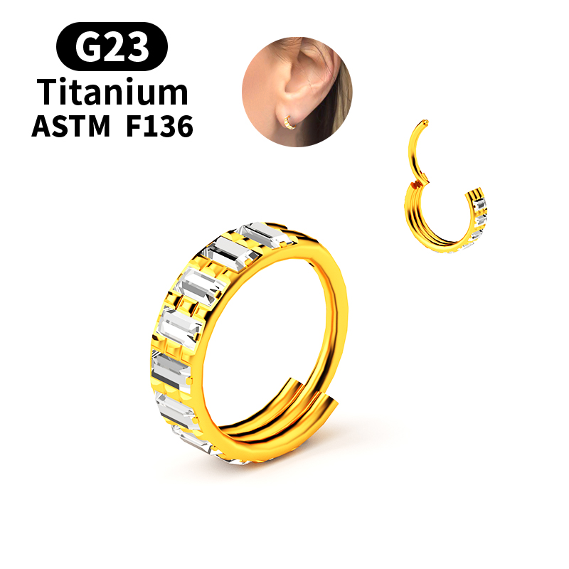 G23 Titanium Zircon Hinged Seg - Body Jewelry Nipple Rings ulasan dan harga